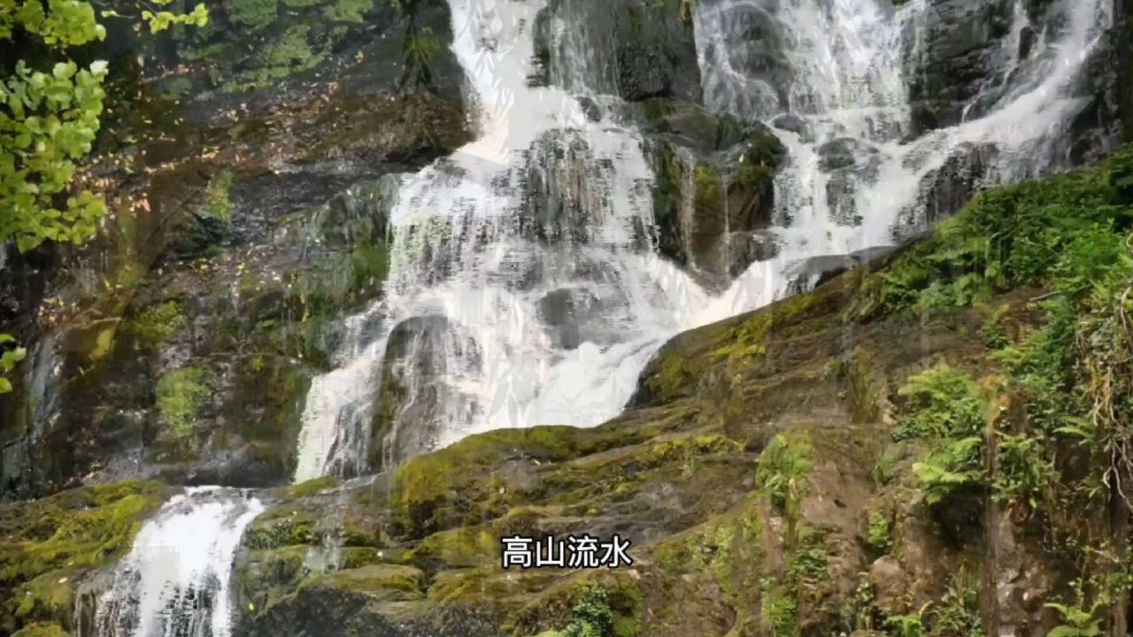 组装机械警暴龙2
