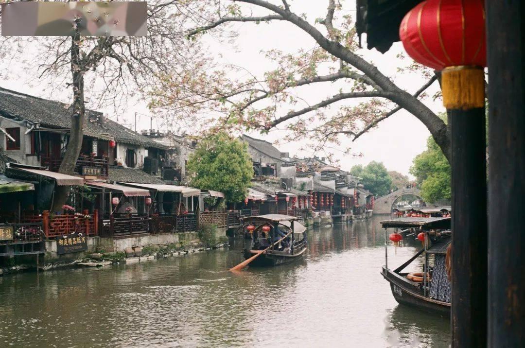 九种体质到底是什么?——专业的红迪网平台