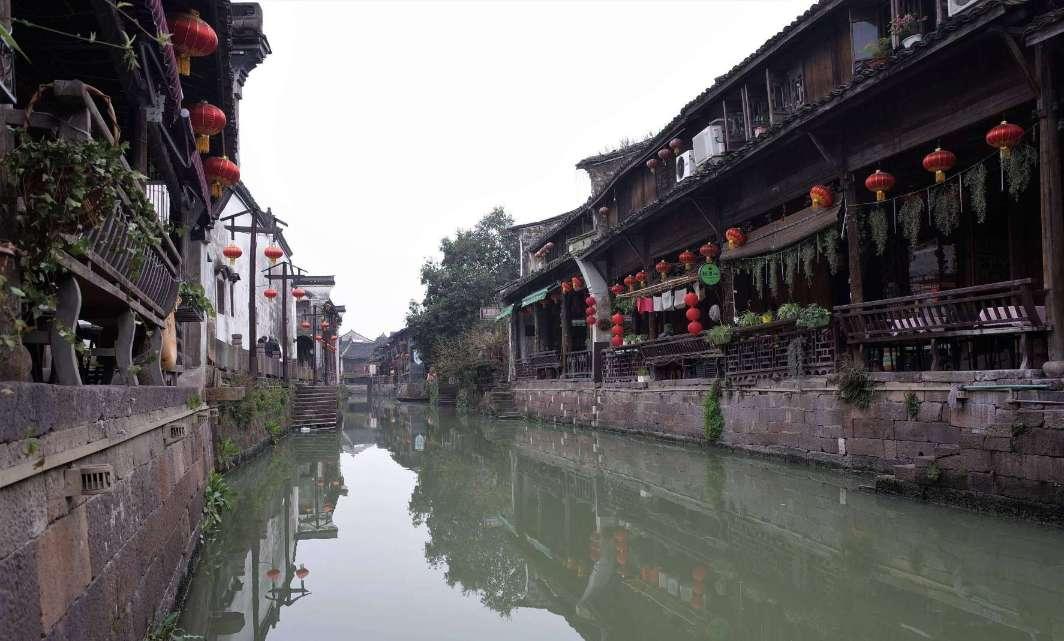 让动物飞一会